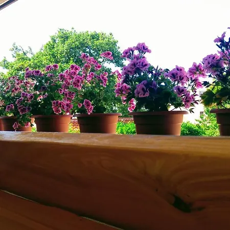 Guest house Dadic Malinska